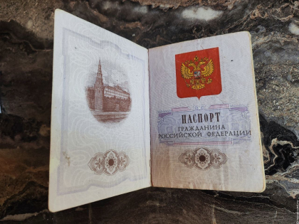 Депутаты предложили лишать гражданства России за преступления эксклюзив