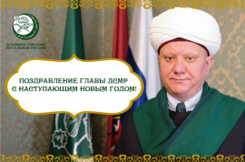 Поздравление Главы ДСМР с Новым 2025 годом!