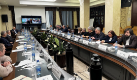 В ОП РФ поддержали инициативу создания центра по вопросам миграции при МВД