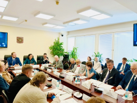Анастасия Удальцова провела очередное заседание Рабочей группы по вопросам адаптации и интеграции мигрантов