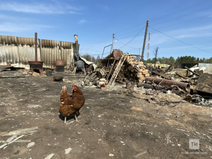 В Москве пройдет благотворительный концерт в поддержку погорельцев из села Юлдус